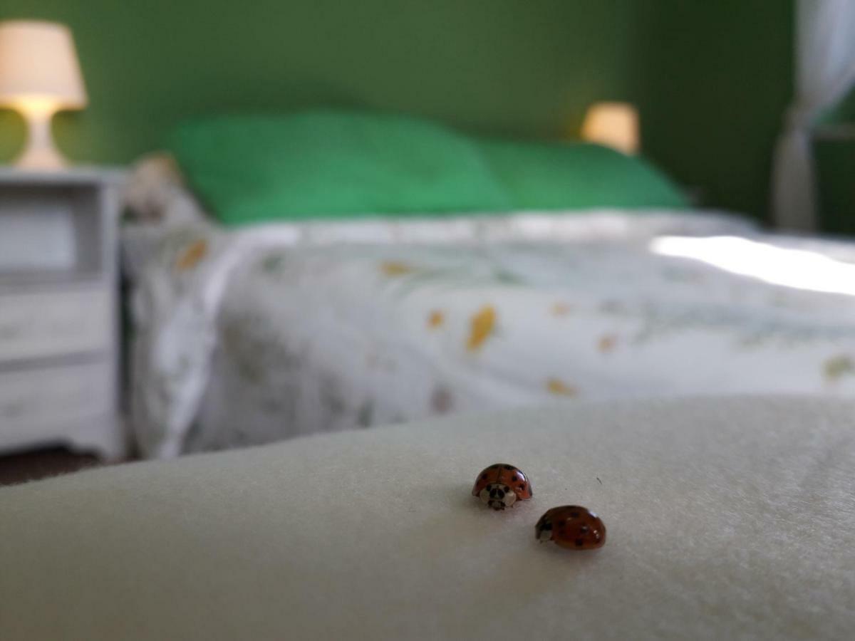 Alle Preci Country House Santa Restituta المظهر الخارجي الصورة