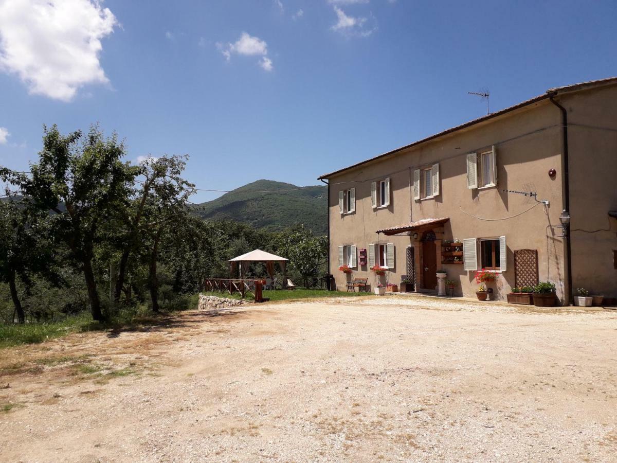 Alle Preci Country House Santa Restituta المظهر الخارجي الصورة